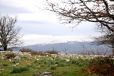 Clicca qui per vedere l'immagine in dettaglio